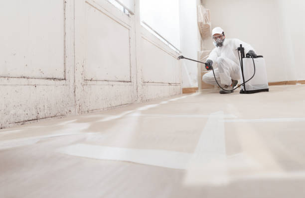 24/7 Emergency Mold Testing experts in Kingston, PA