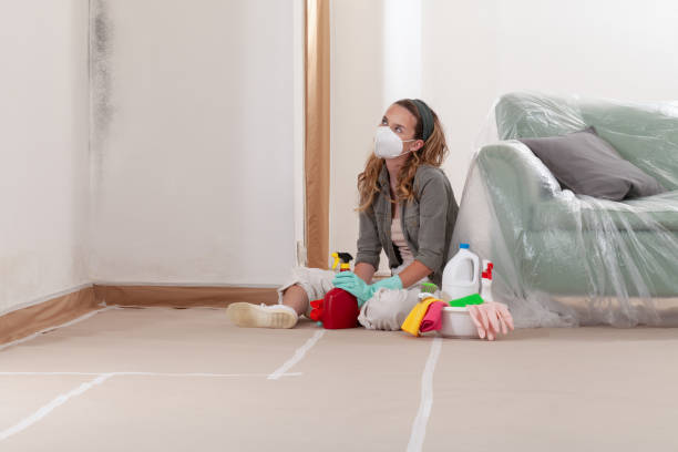 Reliable Mold Cleanup contractor in Kingston, PA by Cheap Mold Removal